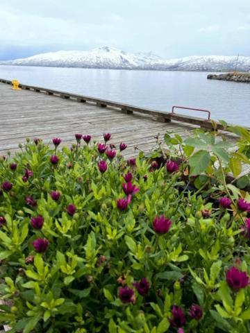 2. Etg I Dampskipsbrygga, Lodingen Havn Exterior photo